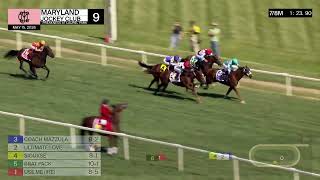 Vidéo de la course PMU HILLTOP STAKES (STAKES)