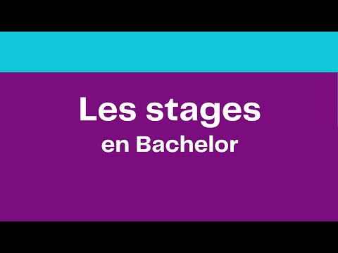 IMT-BS family is talking to you - Les stages en Bachelor