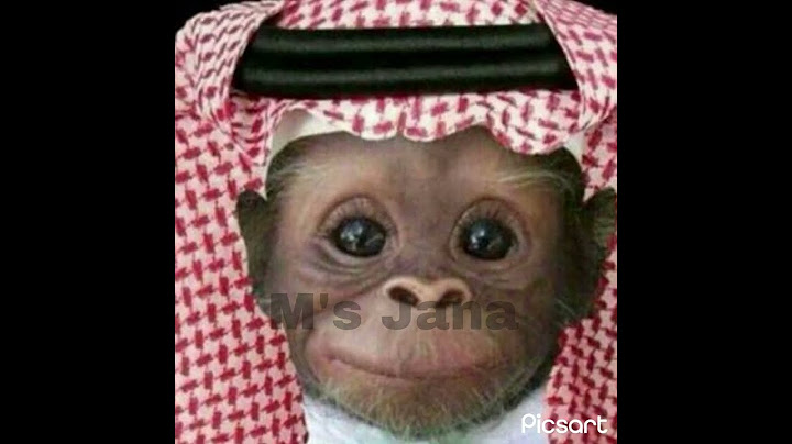 من ال عايدين🥳
