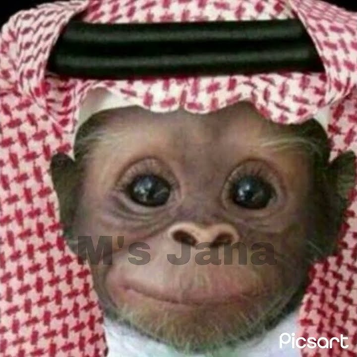 من ال عايدين🥳