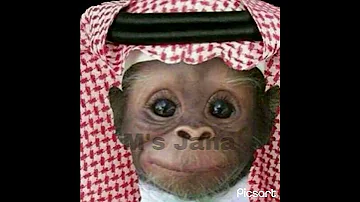 من ال عايدين 