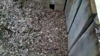 Composting - Leaf Molding - Size Does Matter - SHRED!