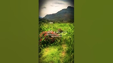 قران_كريم تلاوة خاشعة بصوت تخشع له القلوب #قران_كريم #قرآن #elmulquranعلم #اكسبلور #duet #trend