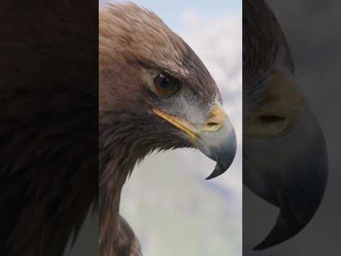 Perfect Shot: 🦅A Mighty Golden Eagle Ambushes Careless Marmot in the Austrian Alps! Spectacular Hunt