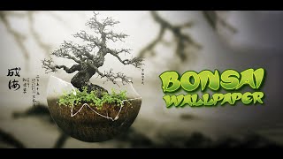 bonsai wallpaper #bonsai screenshot 1