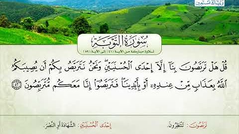 سورة التوبة | من الآية 41 إلى 59 | القارئ الشيخ حسن خضر مرتجى