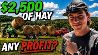 How Much We Made Selling 50 Bales of Hay