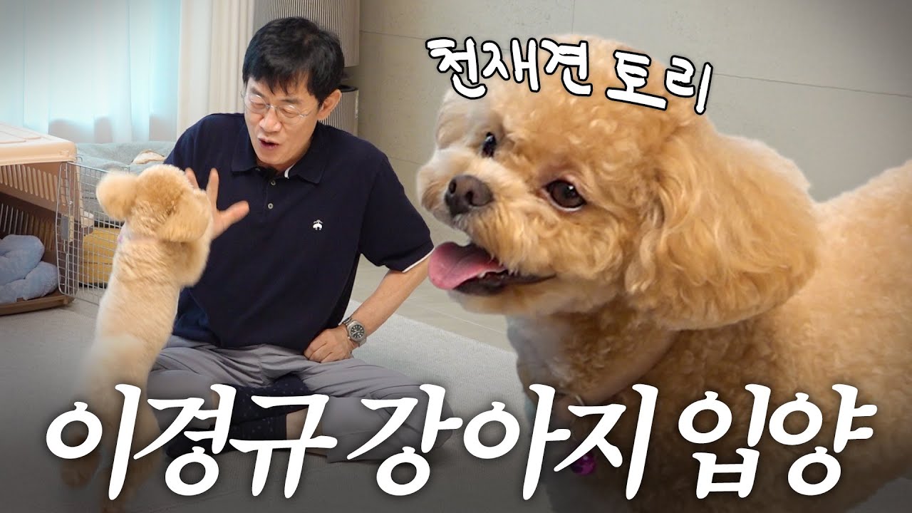평생 강아지 50마리 키우고 결국 또 입양한 이경규 (천재견 토리, 원샷한솔)