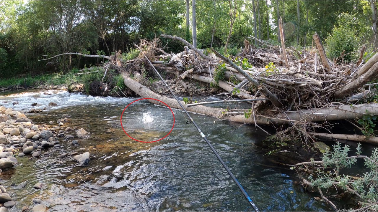 Jornada Homenaje Día Internacional Pesca a la Leonesa Tª Pesca 2020