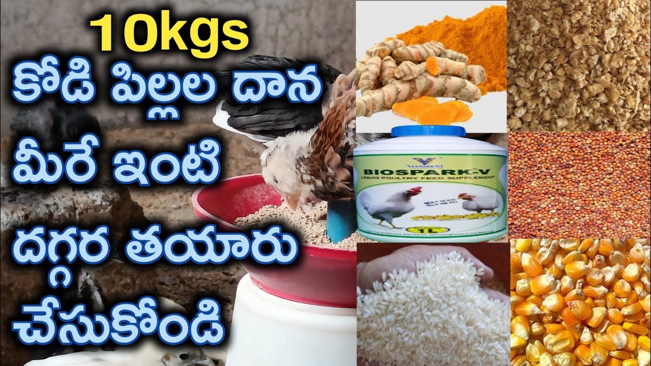 how to prepare chick feed at home||కోడి పిల్లలకి దాన ఎలా తయారు చేసుకోవాలి|best feed for chicks