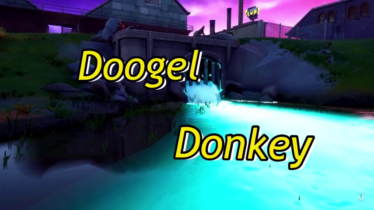 Introducing JoeY Doogel Donkey