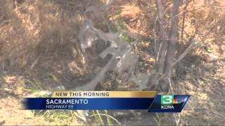 Caltrans cleanup crews collect litter for 'Don't Trash California'