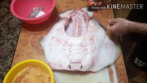 Как разделать морского кота (ската)