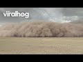 Massive Sandstorm Wall Recorded in Inner Mongolia, China || ViralHog