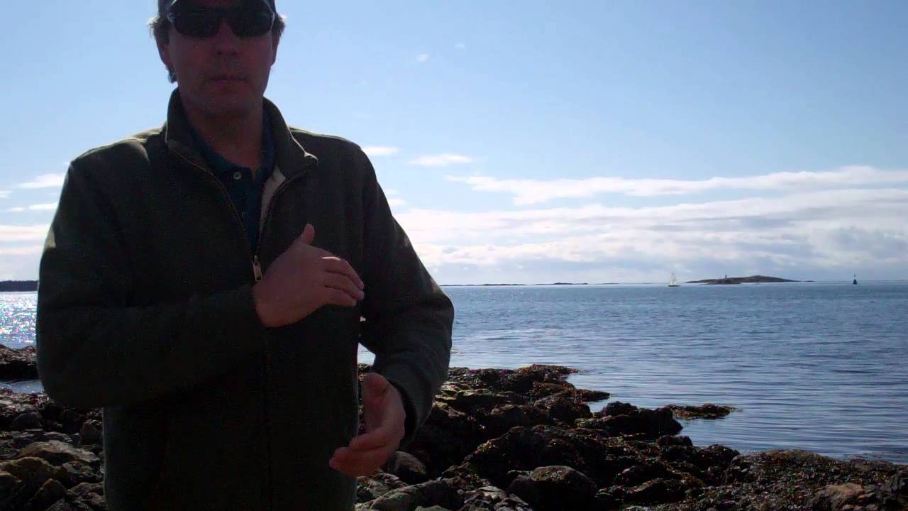 Grateful Dead - Seaside Chat: May 1977 Night 4 (5/15/77)