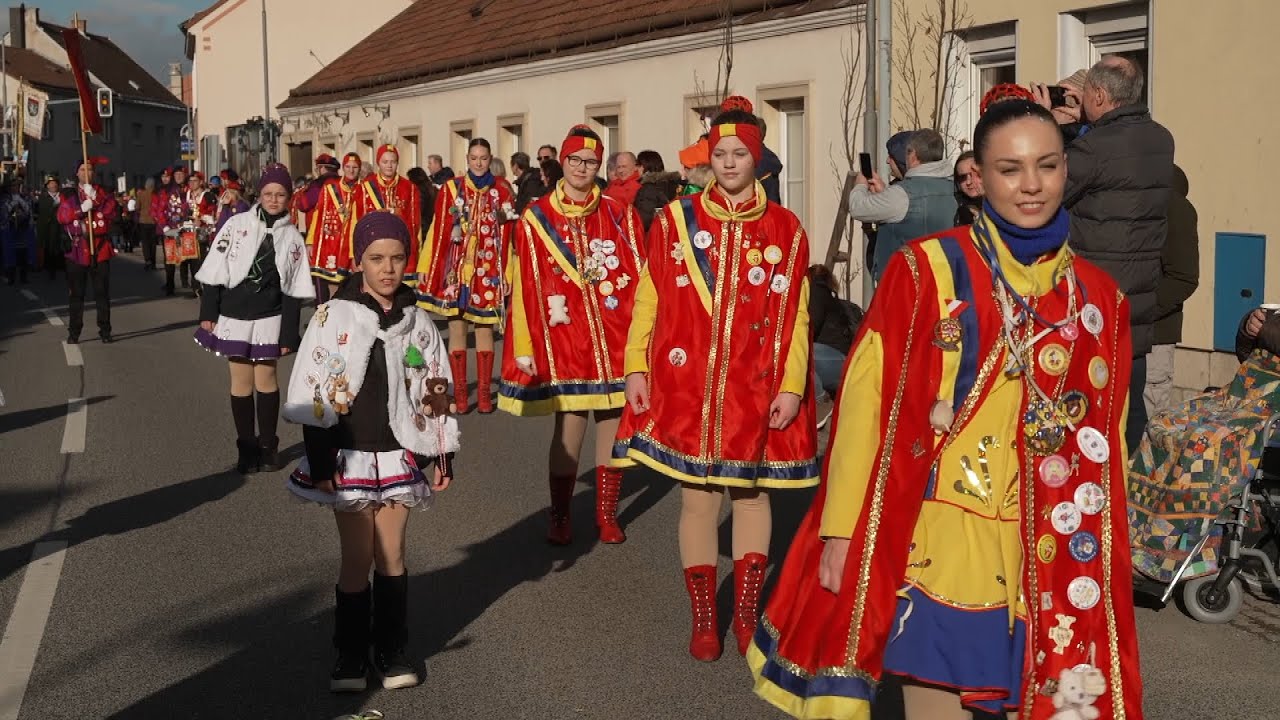 Faschingsumzug in Traiskirchen