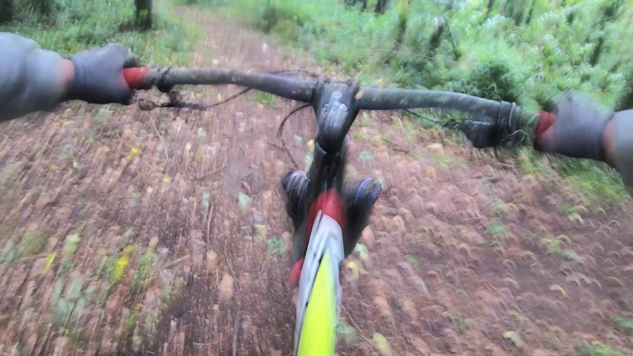 Mountain biking/knockma woods Galway