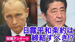 日露平和条約は締結すべきか？～新橋で街頭アンケ―ト【ザ・ファクトREPORT】