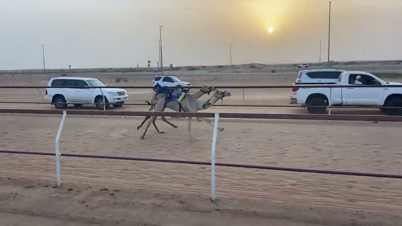 ١٦ أغسطس، ٢٠٢٥