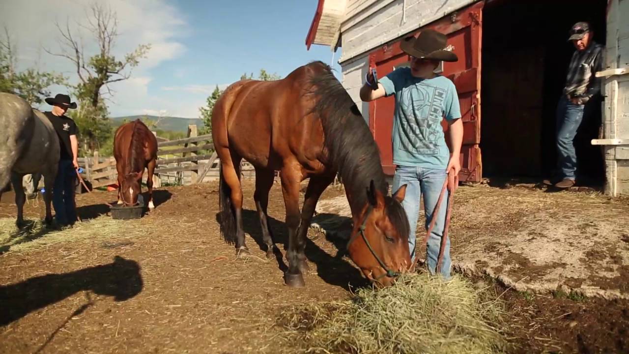 Nelson Brothers YouTube