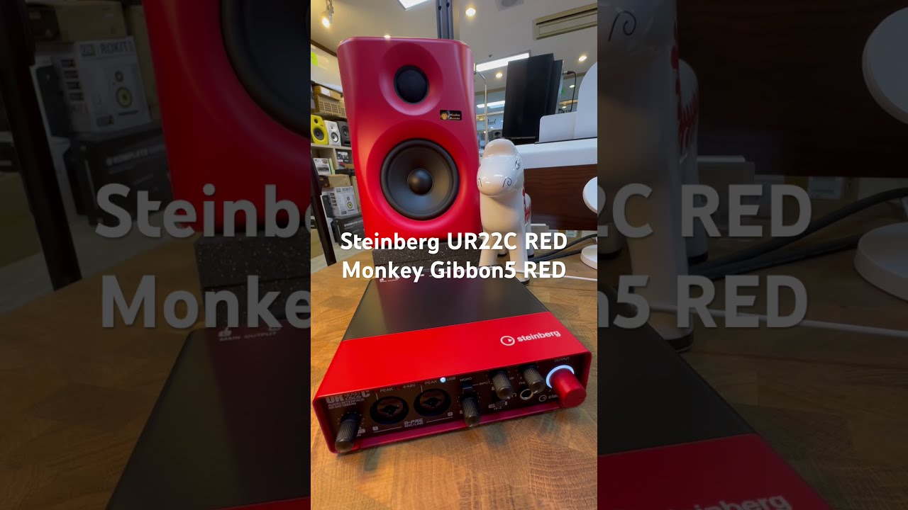 Steinberg UR22C RED + Monkey Gibbon5 RED! 크리스마스와 함께