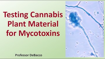 Testing Cannabis Plant Material for Mycotoxins