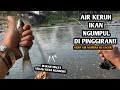 Air sedikit keruh eh malah gacor pake umpan ini mancing wader dan melem spot sungai bogowonto