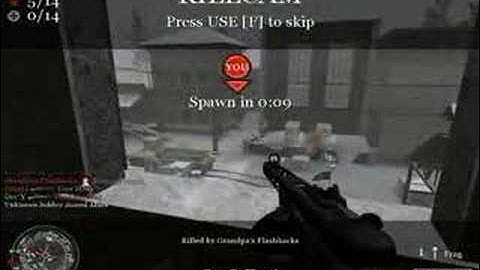 Call of Duty 2 Ownage