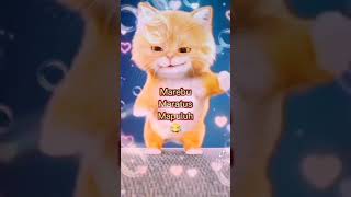 Download Lagu Lapor pak bos🖐🐱🗯#kucingjoget#kucing#kucingjogettiktok#laporbos#laporpakbos MP3
