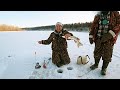 ЛОВИМ ЩУК - РЫБАЛКА НА ЖЕРЛИЦЫ! СПАСЛИ ОКУНЕЙ - ЗАРЫБИЛИ ВОДОЁМ - День ВТОРОЙ!