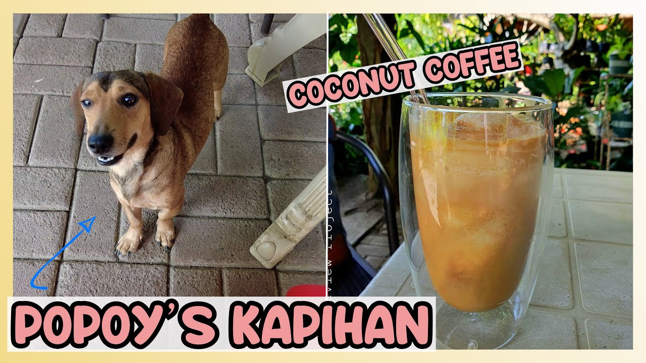 MOST DELICIOUS COCONUT COFFEE EVER (PETFRIENDLY & HIDDEN GEM) l Popoy's Kapihan
