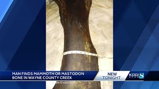 Iowa man discovers prehistoric animal bone in Wayne County