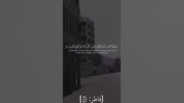 يا أيها الناس أنتم الفقراء إلى الله والله هو الغني الحميد - سورة فاطر - ||عبدالباسط عبدالصمد ||