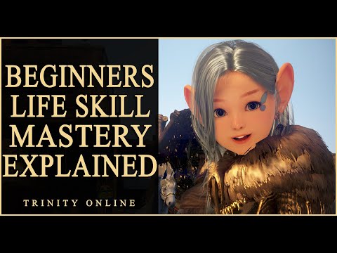 WHAT IS LIFESKILL EXP AND MASTERY beginners guide Tools Accessories gears Black Desert Online BDO