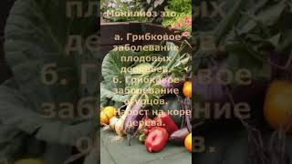 Тест для дачников. Дачный сезон. Советы дачнику.  #рецепты #garden