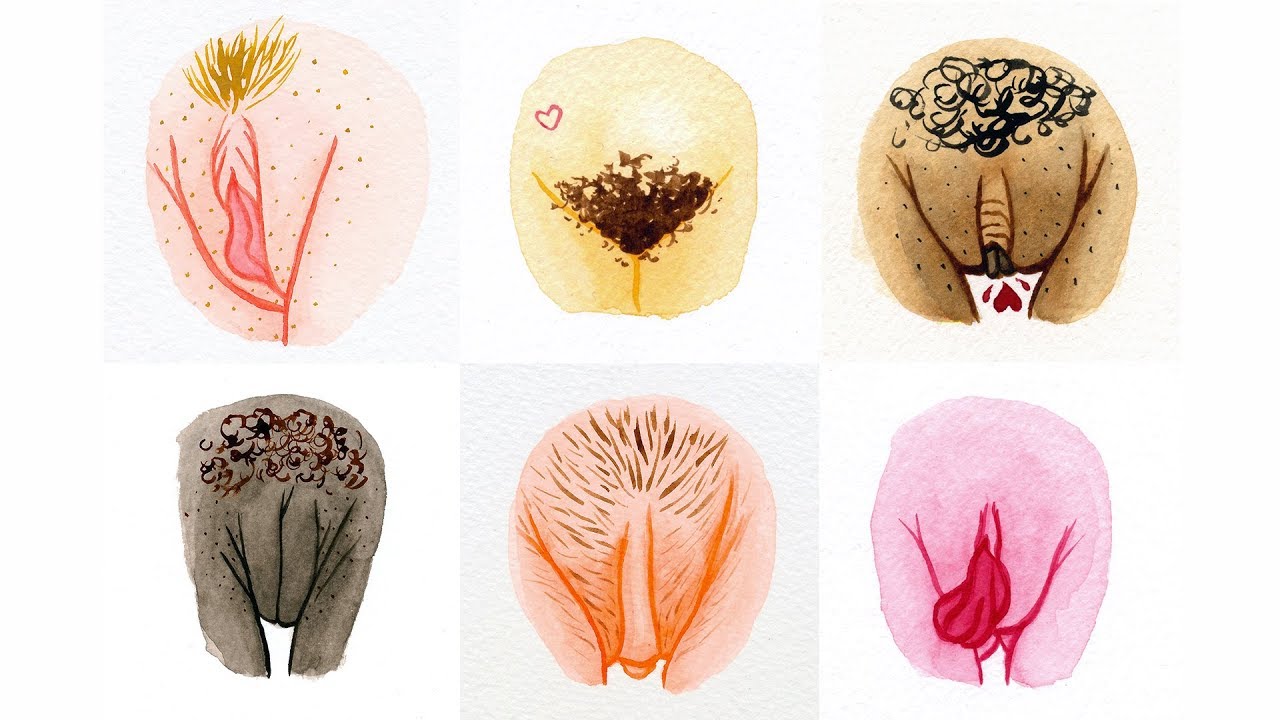 Vulva Gallery : 800 vulves pour montrer la diversité des corps