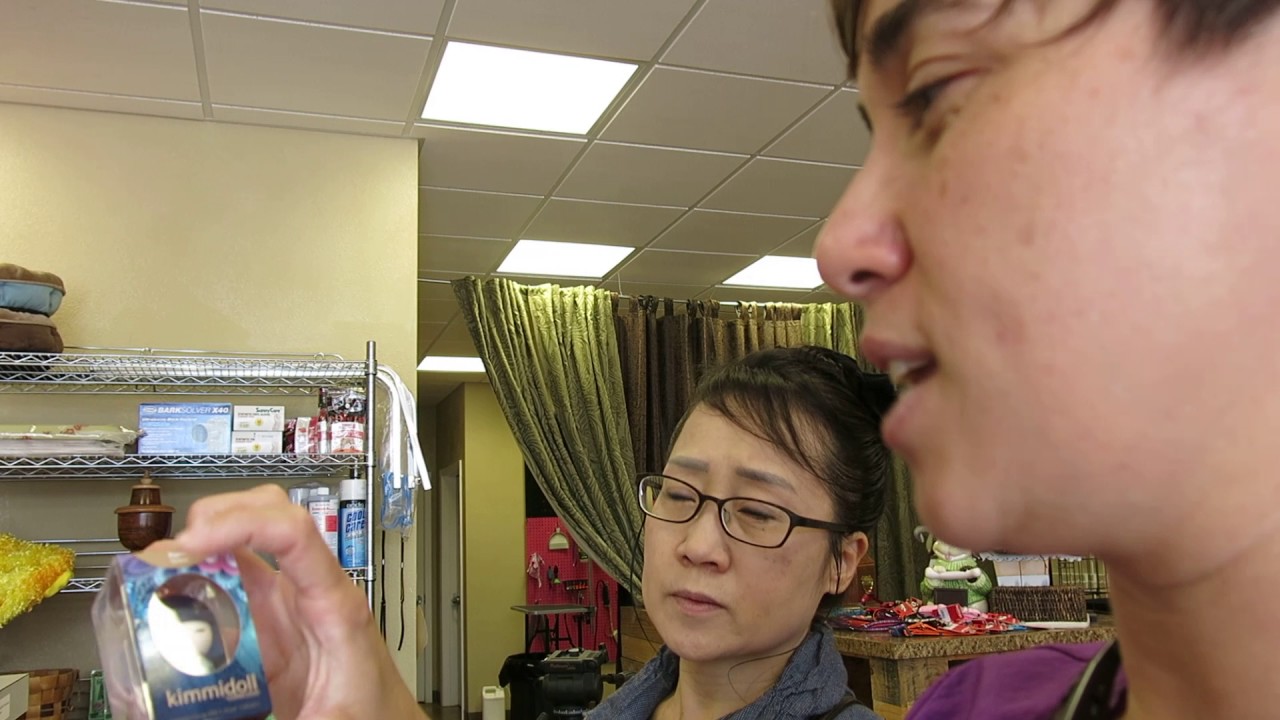 my favorite groomer clippers Miso passed away Gracious Video