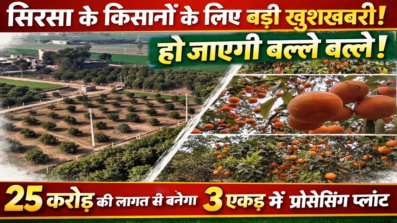 सिरसा जिला के किसानों के लिए बड़ी खुशखबरी, 25 करोड़ की लागत से बनेगा 3 एकड़ में प्रोसेसिंग प्लांट
