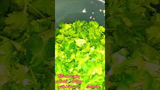 Lets Make Spicy Coconut Chutney