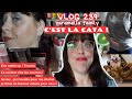 Vlog 239cest la catastrophe je filme des vidos hauls pour vousdes make uptenuesles courses