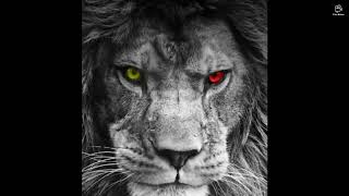 Tek Aşkım❤️💛