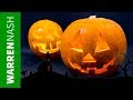 How to Carve a Pumpkin like a Pro - Easy Halloween DIY by Warren Nash