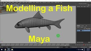 Fish Modelling in Maya software Part - 02