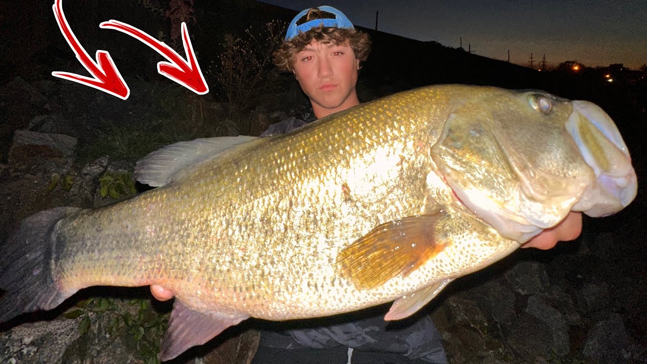 MASSIVE BASS CRUSHES WHOPPER PLOPPER!
