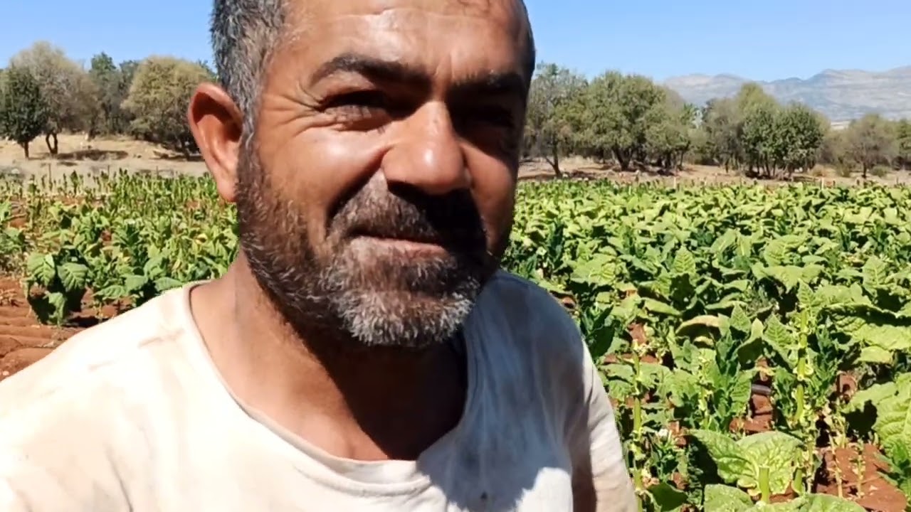 KUTLU/LİCE/DİYARBAKIR - 3 HP GÜNEŞ PANELLİ SİSTEM 