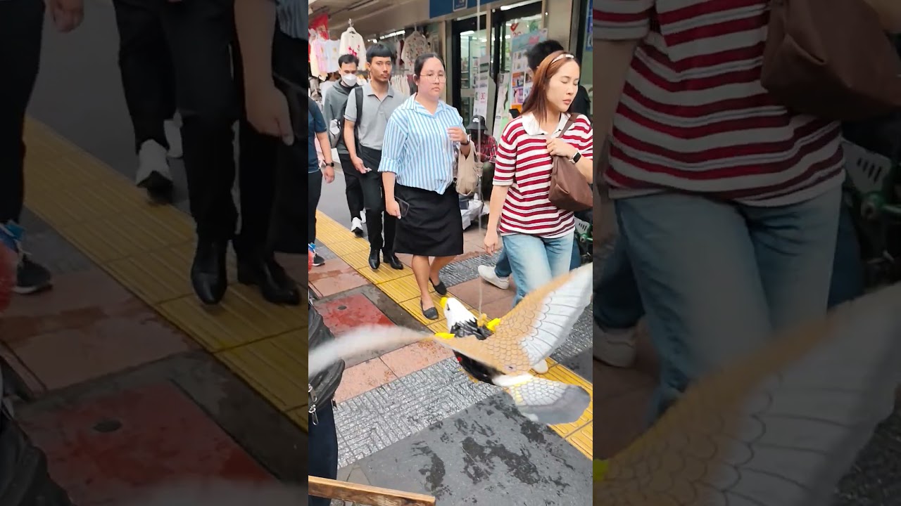 Man is selling eagle toys in Thailand 