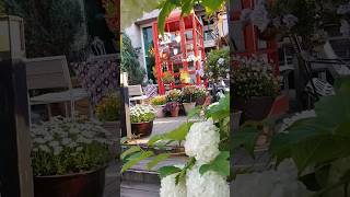 인천대공원 향기정원 영상