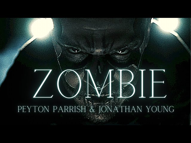 The Cranberries - Zombie (Peyton Parrish Cover) Prod. by @jonathanymusic class=