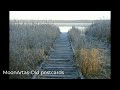MoonArtas-Old postcards