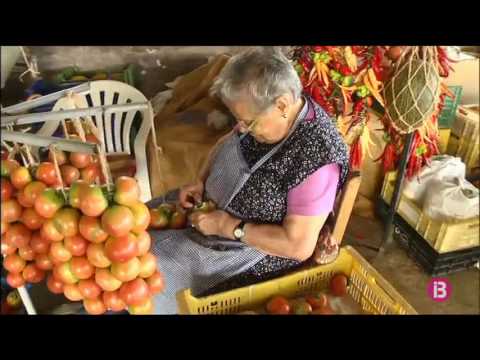 Vídeo: Cultiu De Tomàquets Primerencs
